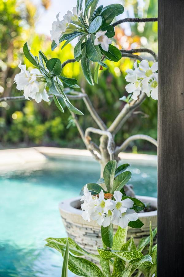 Jagaditha Villas ซานูร์ ภายนอก รูปภาพ